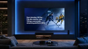 streaming platform